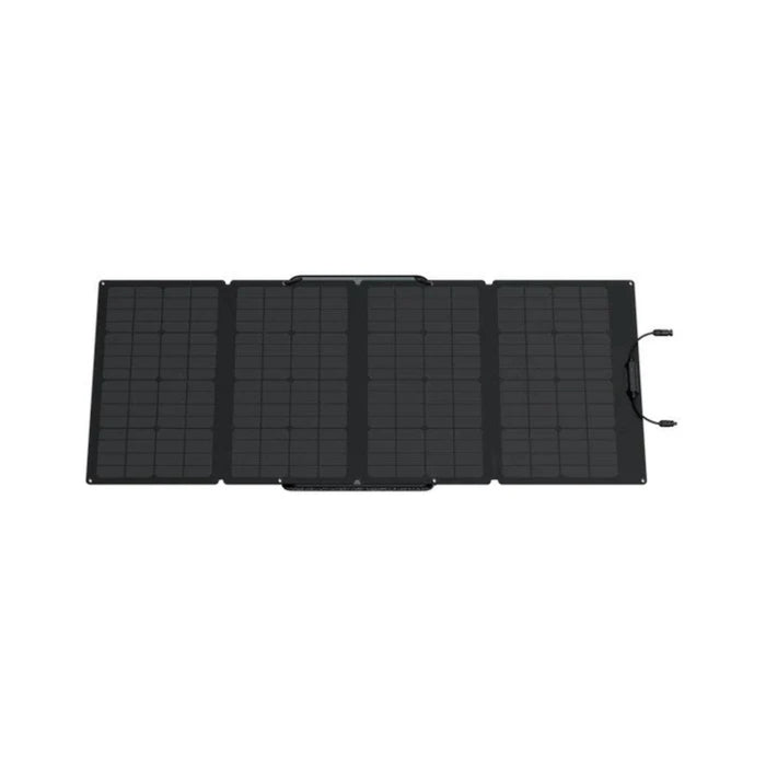 EcoFlow DELTA 2 Max + 1*160W Solar Panel