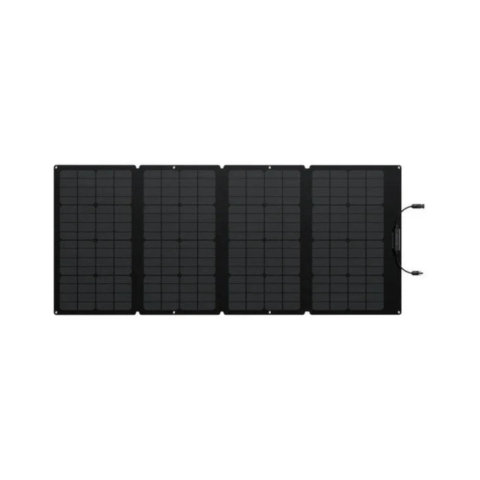 EcoFlow DELTA 2 Max + 1*160W Solar Panel