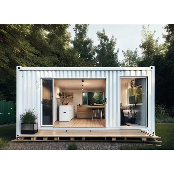 Modern luxury 20 ft container home